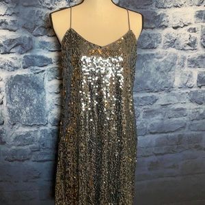 Express Metallic Silver Sequin Dress